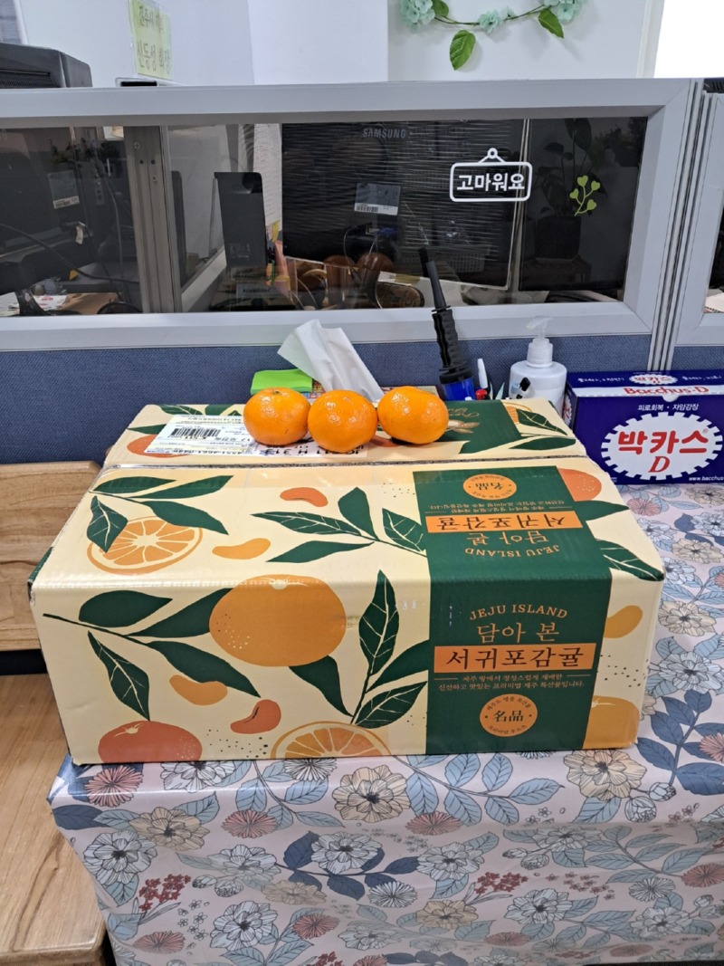 20240119_제주도박옥순 귤.jpg