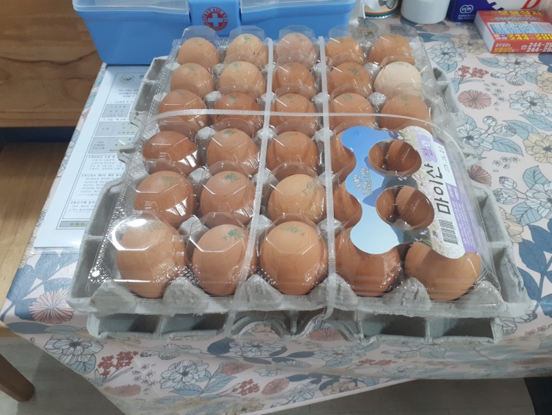 KakaoTalk_20240320_계란(박옥순).jpg