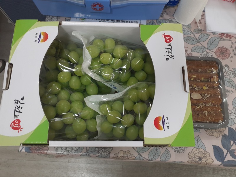 KakaoTalk_20240828_포도.jpg