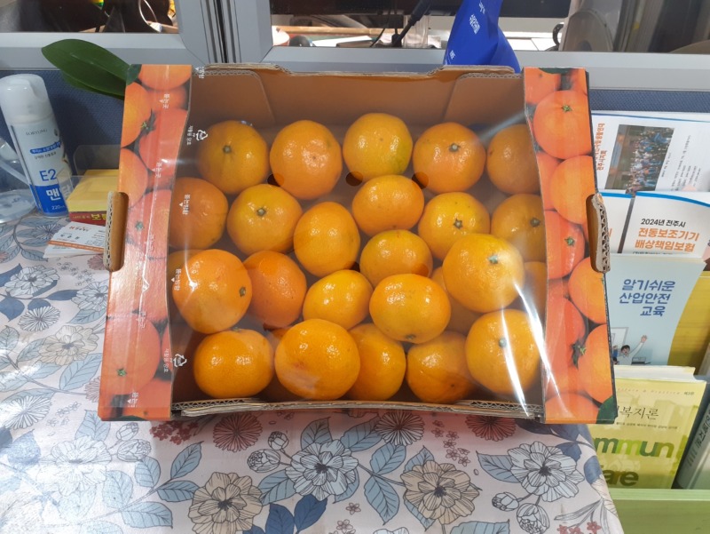 KakaoTalk_20241115_감귤 (이선영).jpg
