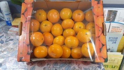 11월 셋째주 후원물품 감사히 잘 먹겠습니다.