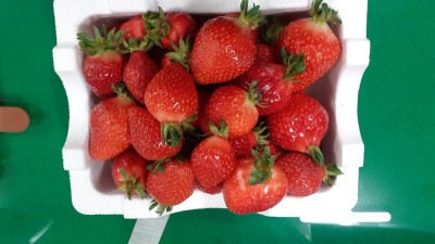 3월 둘째주 후원물품 감사히 잘 먹겠습니다.