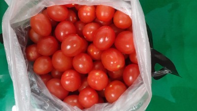 3월 셋째주 후원물품 감사히 잘 먹겠습니다.