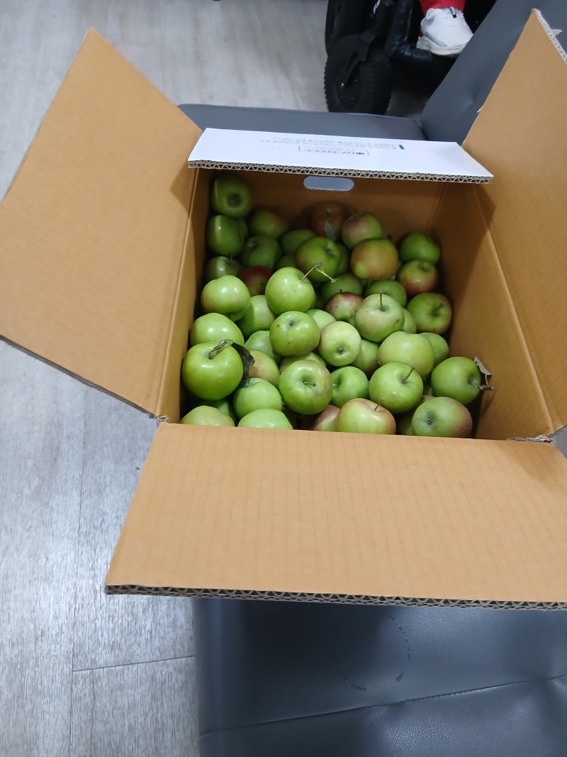 KakaoTalk_20250801_미니사과 채현민.jpg