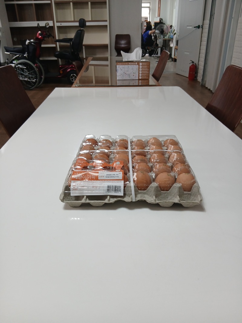 KakaoTalk_20250807_계란 (신동성).jpg